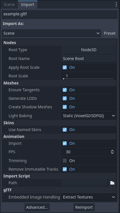 在文件系统面板中选择 3D 场景后的导入面板